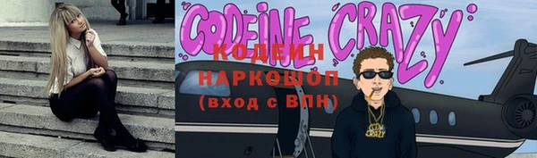 spice Богородицк