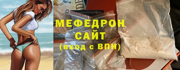 spice Богородицк